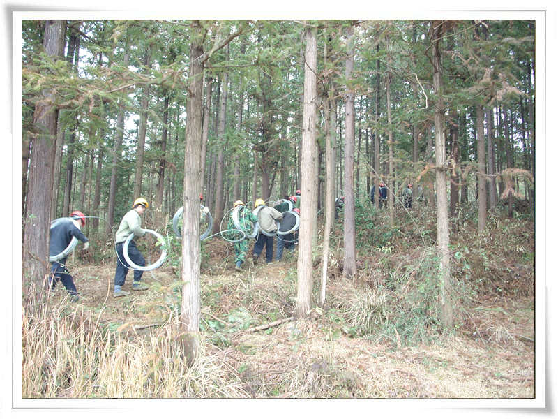 冰雪中的抢险队--记四川奇发28电力抢险队