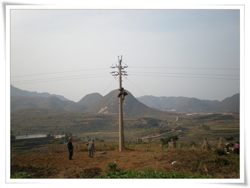 公司向导视察贵州分公司、效劳处