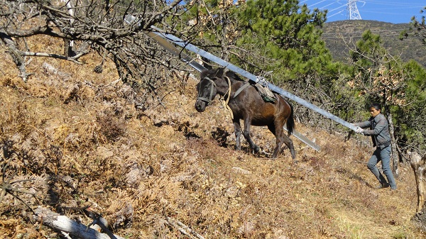 ±800kV锦苏线、500kV月普线抢建施工顺遂完成