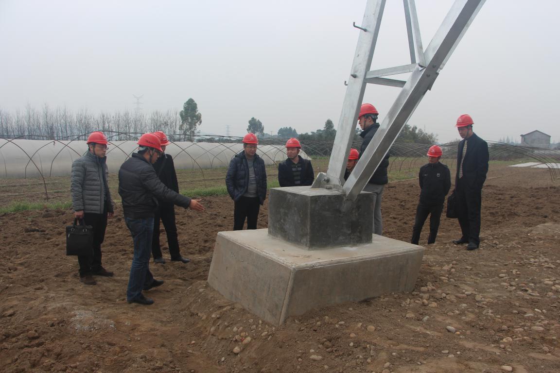 浙江送变电工程公司向导、专家莅临我 施工项目部旅行考察