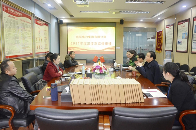 公司顺遂通过“三系统”年度督查审核