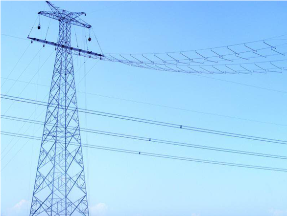 陈云总司理陪同国网省电力公司副总司理刘勇现场检查事情