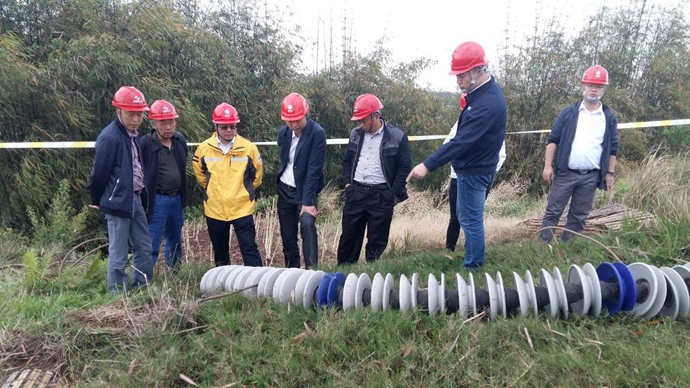 500千伏普洪三线绝缘子替换大修工程顺遂投运