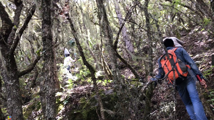 科技攻克险阻，，，，，，，，无人机飞越藏中“电力天路”