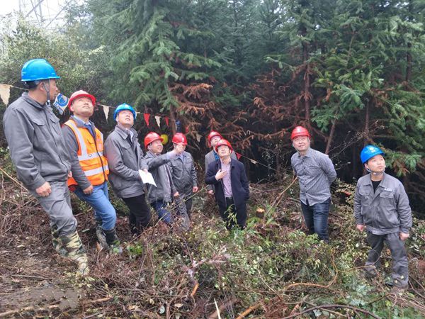 国网江西磨练公司总司理伍小生一行莅临500kV孔安一二线跨越迁改工程视察指导事情