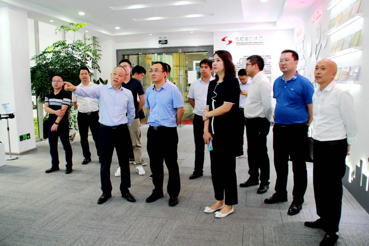 国网江西磨练公司总司理伍小生一行莅临我司考察交流