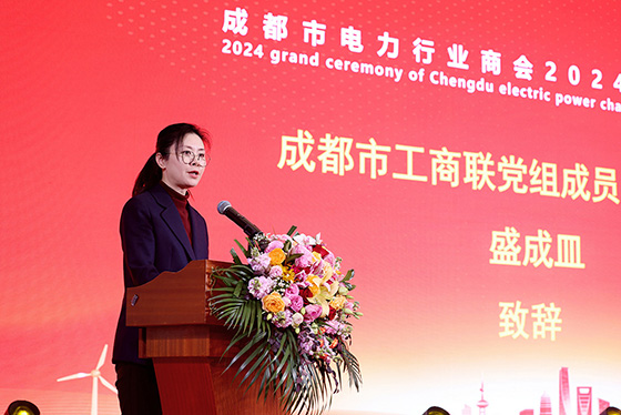 集团荣获成都会电力行业商会两项声誉