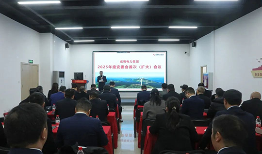 集团召开2025年度安委会首次（扩大）聚会